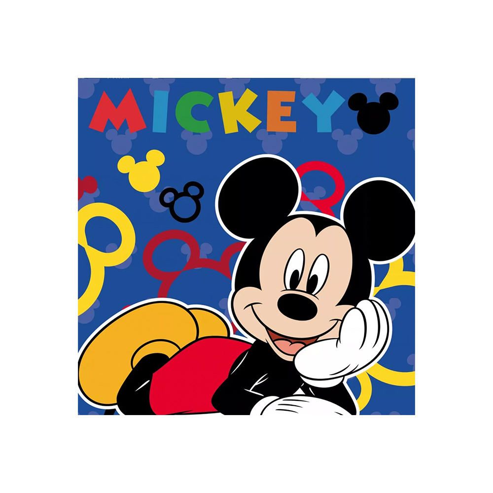 Prosop de Maini pentru Copii – 30×30 cm – Hey Mickey LDS0060 harnicuta.ro imagine noua